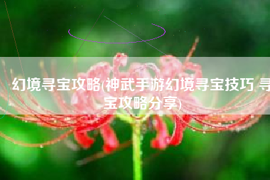 幻境寻宝攻略(神武手游幻境寻宝技巧 寻宝攻略分享)