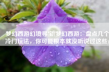 梦幻西游幻境寻宝(梦幻西游：盘点几个冷门玩法，你可能根本就没听说过这些)