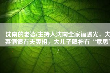 沈南的老婆(主持人沈南全家福曝光，夫妻俩很有夫妻相，大儿子眼神有“意思”)