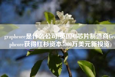 graphcore是什么公司(英国AI芯片制造商Graphcore获得红杉资本5000万美元新投资)