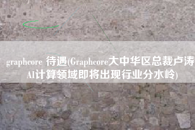 graphcore 待遇(Graphcore大中华区总裁卢涛：AI计算领域即将出现行业分水岭)