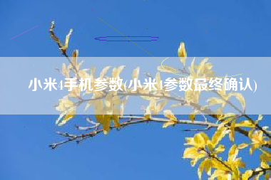 小米4手机参数(小米4参数最终确认)