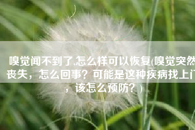 嗅觉闻不到了,怎么样可以恢复(嗅觉突然丧失，怎么回事？可能是这种疾病找上门，该怎么预防？)