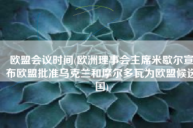 欧盟会议时间(欧洲理事会主席米歇尔宣布欧盟批准乌克兰和摩尔多瓦为欧盟候选国)