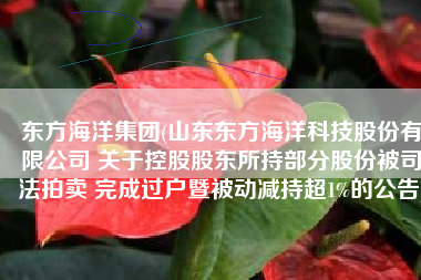 东方海洋集团(山东东方海洋科技股份有限公司 关于控股股东所持部分股份被司法拍卖 完成过户暨被动减持超1%的公告)