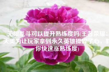 无限乱斗可以提升熟练度吗(王者荣耀：天美为让玩家拿到永久英雄操碎了心，教你快速涨熟练度)