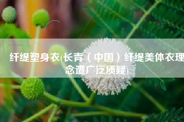 纤缇塑身衣(长青（中国）纤缇美体衣理念遭广泛质疑)