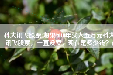 科大讯飞股票(如果2010年买入五万元科大讯飞股票，一直没卖，现在是多少钱？)