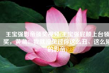 王宝强影帝颁奖视频(王宝强屁颠上台领奖，黄渤：我就没见过你这么丑，这么矮的影帝)