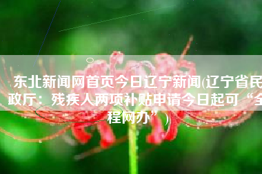 东北新闻网首页今日辽宁新闻(辽宁省民政厅：残疾人两项补贴申请今日起可“全程网办”)