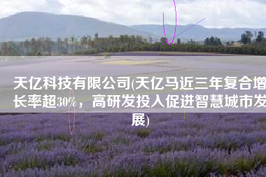 天亿科技有限公司(天亿马近三年复合增长率超30%，高研发投入促进智慧城市发展)