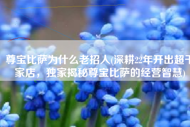 尊宝比萨为什么老招人(深耕22年开出超千家店，独家揭秘尊宝比萨的经营智慧)