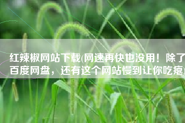 红辣椒网站下载(网速再快也没用！除了百度网盘，还有这个网站慢到让你吃瘪)