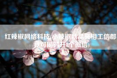 红辣椒网络科技(小辣椒新品亮相工信部 竟可同时开8个微信)