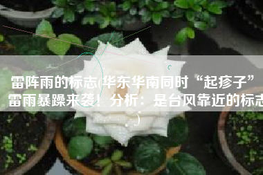 雷阵雨的标志(华东华南同时“起疹子”，雷雨暴躁来袭！分析：是台风靠近的标志)