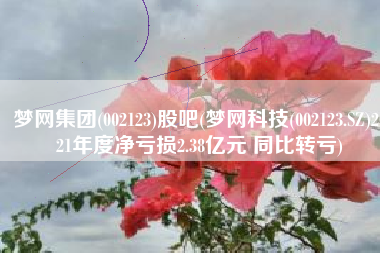 梦网集团(002123)股吧(梦网科技(002123.SZ)2021年度净亏损2.38亿元 同比转亏)