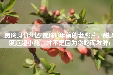 贾玲身价21亿(贾玲11年前的老照片，甜美度远超小花，并不是因为贪吃而发胖)