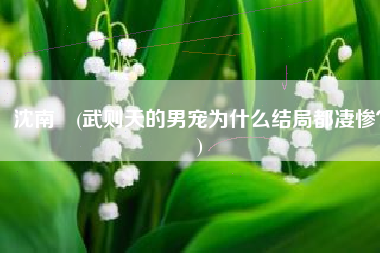 沈南璆(武则天的男宠为什么结局都凄惨？)