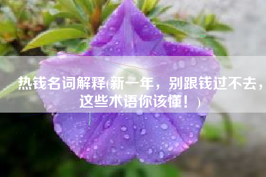 热钱名词解释(新一年，别跟钱过不去，这些术语你该懂！)