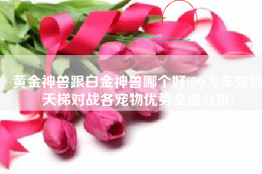 黄金神兽跟白金神兽哪个好(QQ飞车宠物天梯对战各宠物优势全面分析)