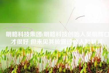 明略科技集团(明略科技创始人吴明辉口才很好 但未见其披露过收入和利润)