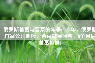 俄罗斯首富与普京的斗争(2003年，俄罗斯首富公开叫板，普京微笑回应，8个月后首富被捕)