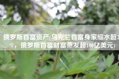 俄罗斯首富资产(乌克兰首富身家缩水超30%，俄罗斯首富财富蒸发超100亿美元)