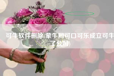 可牛软件删除(蒙牛同可口可乐成立可牛了公司)