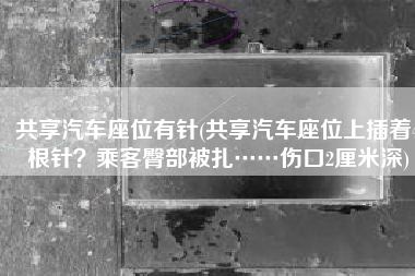 共享汽车座位有针(共享汽车座位上插着4根针？乘客臀部被扎……伤口2厘米深)