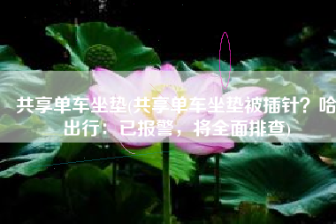 共享单车坐垫(共享单车坐垫被插针？哈啰出行：已报警，将全面排查)