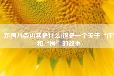 新国八条内容是什么(这是一个关于“住”和“房”的故事)