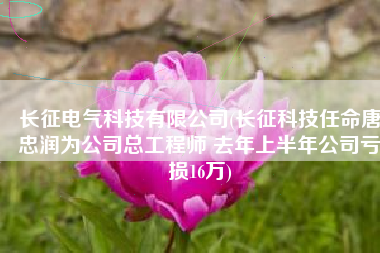 长征电气科技有限公司(长征科技任命唐忠润为公司总工程师 去年上半年公司亏损16万)