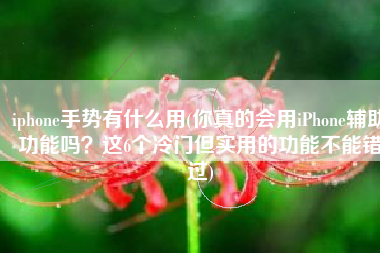 iphone手势有什么用(你真的会用iPhone辅助功能吗？这6个冷门但实用的功能不能错过)