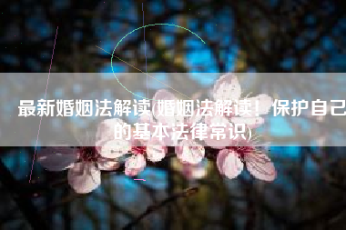 最新婚姻法解读(婚姻法解读！保护自己的基本法律常识)