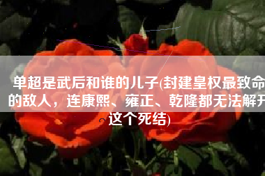 单超是武后和谁的儿子(封建皇权最致命的敌人，连康熙、雍正、乾隆都无法解开这个死结)