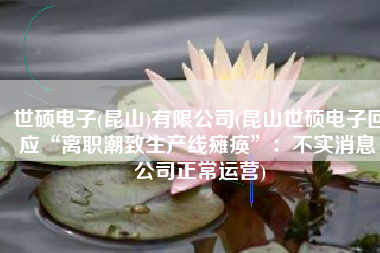 世硕电子(昆山)有限公司(昆山世硕电子回应“离职潮致生产线瘫痪”：不实消息 公司正常运营)