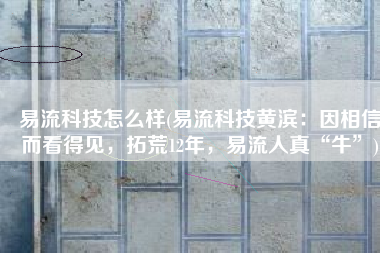 易流科技怎么样(易流科技黄滨：因相信而看得见，拓荒12年，易流人真“牛”)