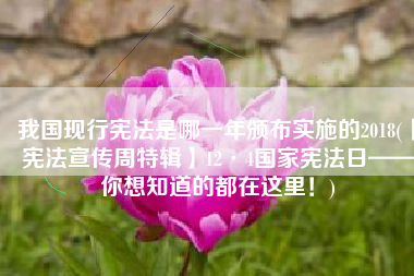 我国现行宪法是哪一年颁布实施的2018(【宪法宣传周特辑】12·4国家宪法日——你想知道的都在这里！)