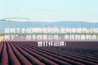榕树下小说网好签约吗(走向末路的“榕树下”：经手四家公司，未找到盈利点，曾打怀旧牌)