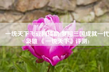 一统天下飞豆网辅助(梦回三国成就一代枭雄 《一统天下》评测)