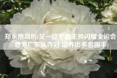 郑永刚简历(又一辽宁籍主帅闪耀全运会！曾为广东队夺冠 培养出多名国手)