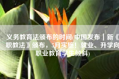 义务教育法颁布的时间(中国发布｜新《职教法》颁布，5月实施！就业、升学向职业教育学生倾斜)