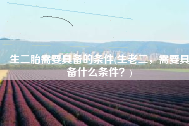 生二胎需要具备的条件(生老二，需要具备什么条件？)