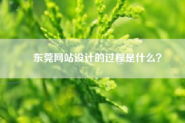 东莞网站设计的过程是什么？