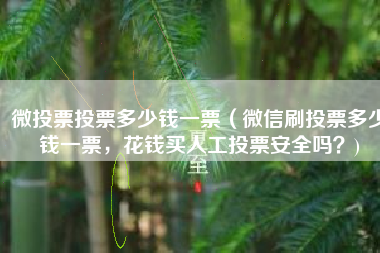 微投票投票多少钱一票（微信刷投票多少钱一票，花钱买人工投票安全吗？)