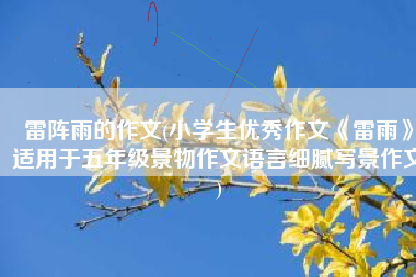 雷阵雨的作文(小学生优秀作文《雷雨》适用于五年级景物作文语言细腻写景作文)