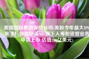 美国国际集团保险公司(美股今年最大IPO来了！保险巨头AIG旗下人寿和资管业务申请上市 估值200亿美元)
