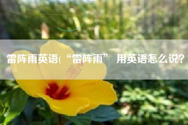 雷阵雨英语(“雷阵雨” 用英语怎么说？)