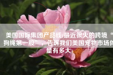 美国国际集团产品线(最近很火的跨境“狗绳第一股”，告诉我们美国宠物市场体量有多大)