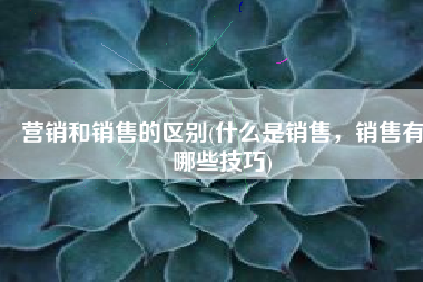 营销和销售的区别(什么是销售，销售有哪些技巧)